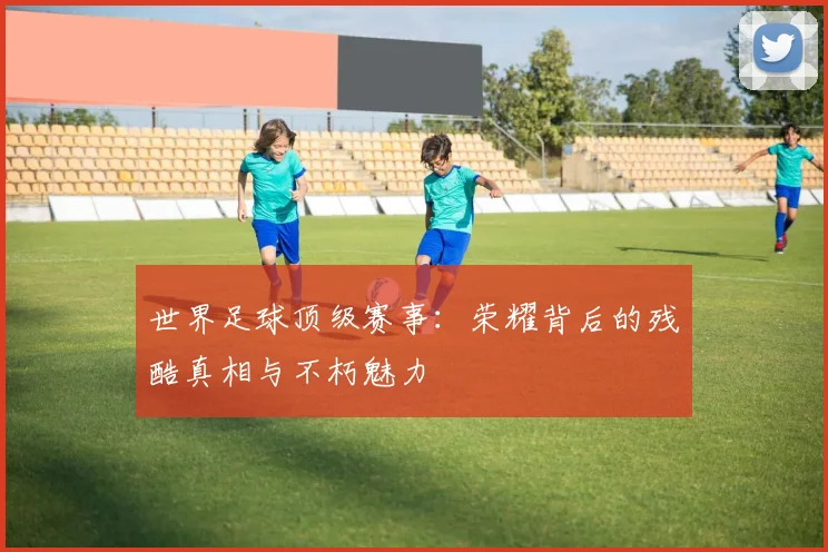 世界足球顶级赛事：荣耀背后的残酷真相与不朽魅力