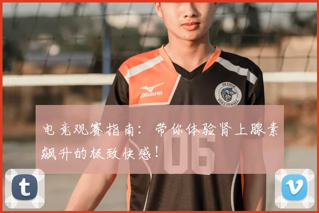 电竞观赛指南：带你体验肾上腺素飙升的极致快感！