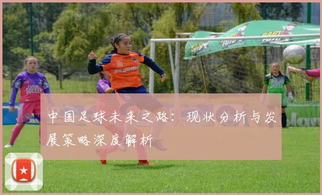 中国足球未来之路：现状分析与发展策略深度解析
