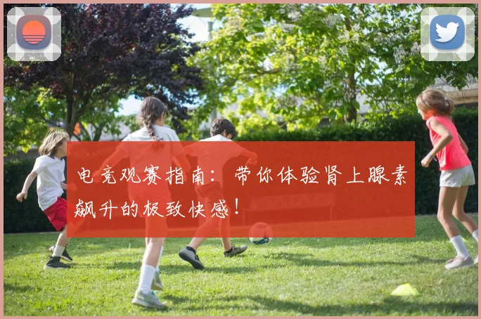 电竞观赛指南：带你体验肾上腺素飙升的极致快感！